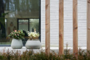 De tuinplanten uit De Trend Collectie De tuinplanten uit De Trend Collectie