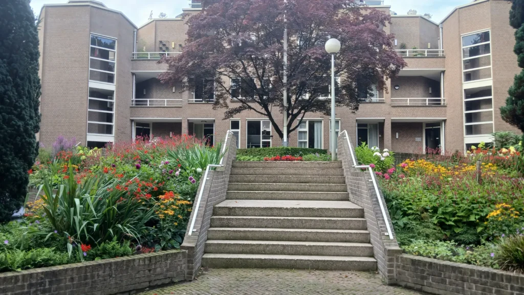 Tuincreatie - Hovenier Nijkerk - Sfeerafbeelding 4